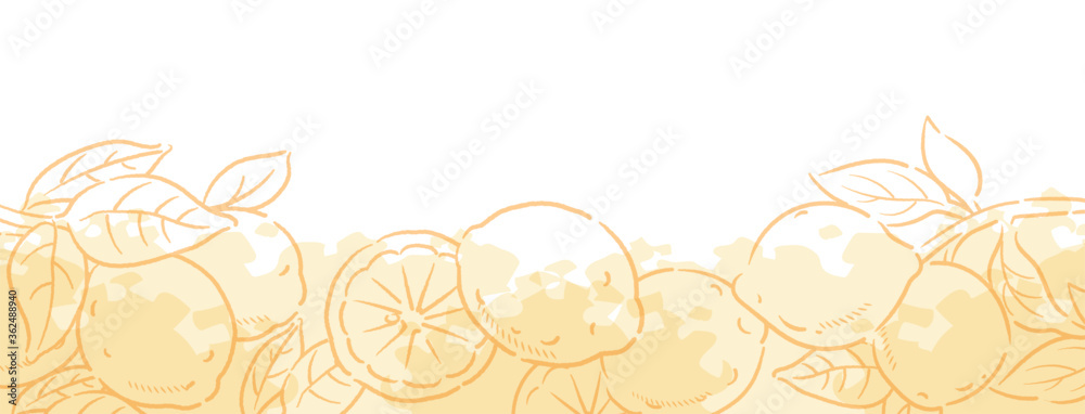 背景やバナーに使える レモンのスケッチ風イラスト ベクター画像 Stock Vector Adobe Stock