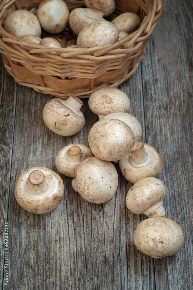 White mushrooms and basket on the wooden surface White mushrooms and basket on the wooden surface