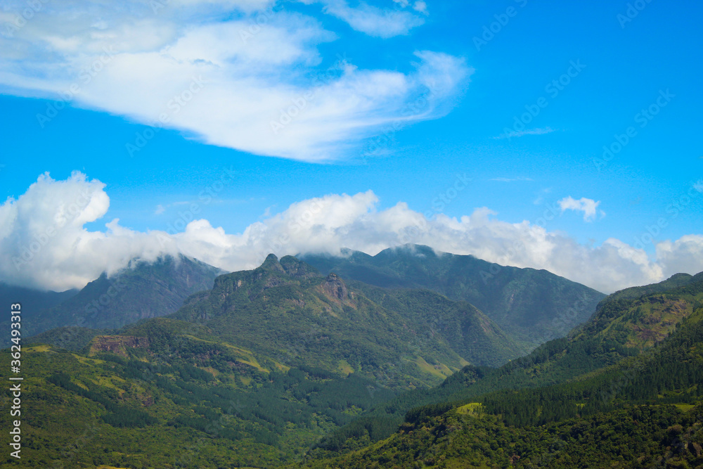 Beautiful Mountainous landscape with green trees, amazing blue sky and mountain range. This picture was captured by a Canon 4D and this place so popular and It's called Riverston/Knuckles Sri Lanka.