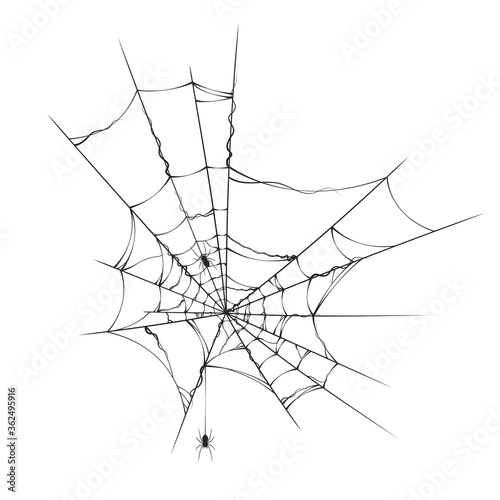 Halloween realistic spiderweb. Vector isolated spooky background for october night party and invitations.