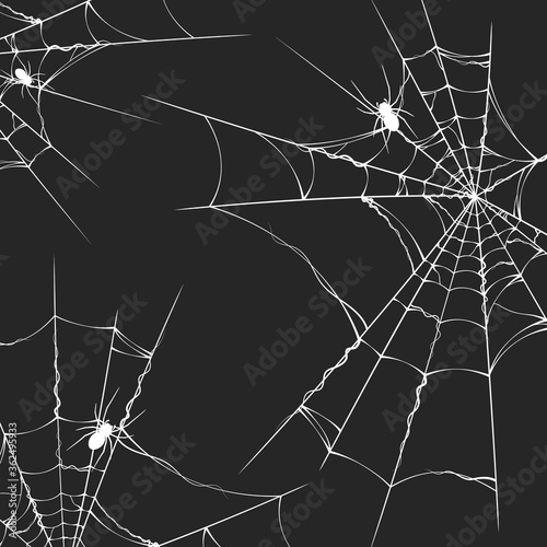 Halloween spiderweb border frame with spiders. Vector isolated realistic spooky background for october night party and invitations.
