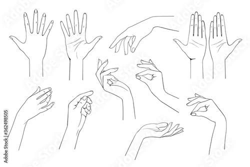 Set of linear drawing of female hands. Retro icons, emblems and logo. Vector illustration