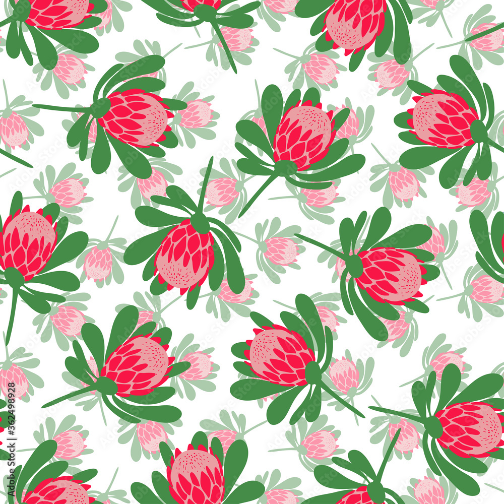 Seamless vector pattern with protea flowers on white background