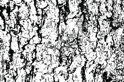 Wallpaper Mural Wooden texture. Tree wood material.Grunge texture. Grunge black and white vector overlay. Grungy grainy surface. Torontodigital.ca