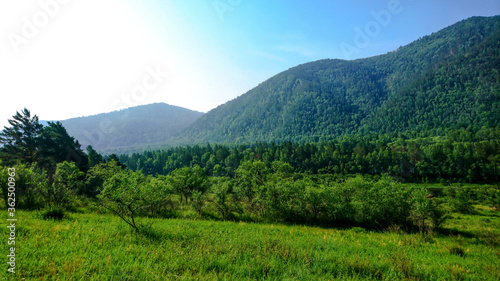 mountain landscape with trees