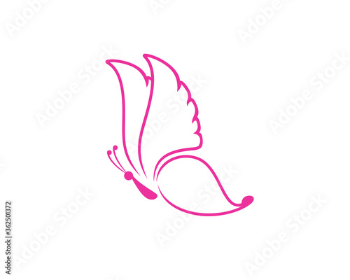 Luxury flying butterfly