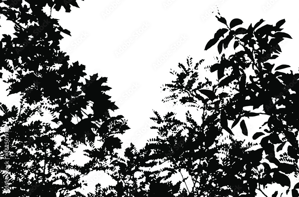 Naklejka premium Tree leaves. Forest nature backdrop.Grunge texture. Grunge black and white vector overlay. Grungy grainy surface.