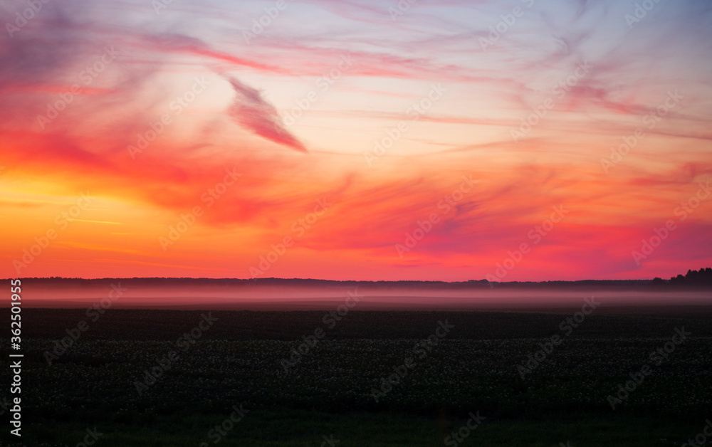 Colorful summer sunset over a misty field