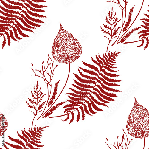 Vector seamless pattern : forest summer herbs on white. Physalis , fern . Herbarium style drsign for textile , wrapping  paper , wallpaper photo