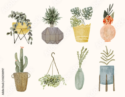 set of watercolor decorative plant in pot