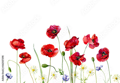 Watercolor background of wild flowers and poppies on a white background.For greetings, invitations, weddings, anniversaries and birthday
