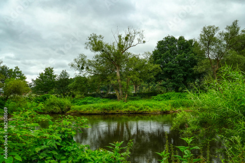 Naturlandschaft am Fluss Sieg bei Dattenfeld