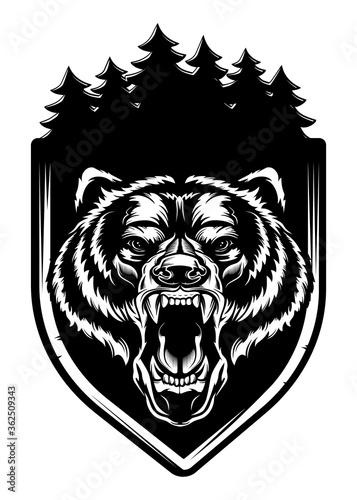 Angry bear face vector illustration. Furious angry face of bear with open mouth and terrible teeth as symbol of strength and aggressiveness. Grunge style  print for sport wear.