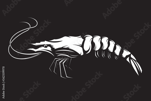 Graphical sketch of shrimp isolated on white background. Vector sea-food illustration. Prawn illustration for emblem or package.