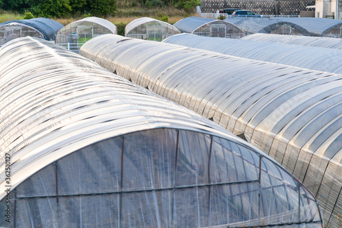 Rows of greenhouses created by plastic sheeting on metal frame © Osaze