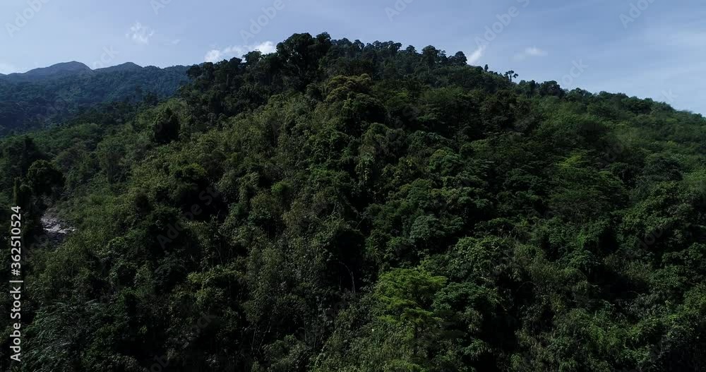 Aerial view deep forest with ricer of waterfall nature landscape diversity Aerial view deep forest with ricer of waterfall nature landscape diversity