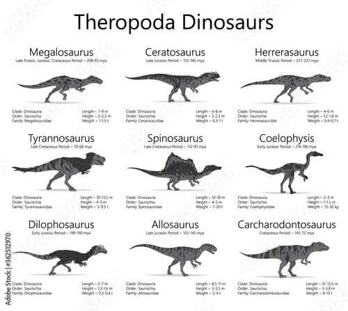 Theropoda dinosaurs. Monochrome vector illustration of dinosaurs isolated on white background. Set of ancient creatures with information of size, weigh, classification and period of living