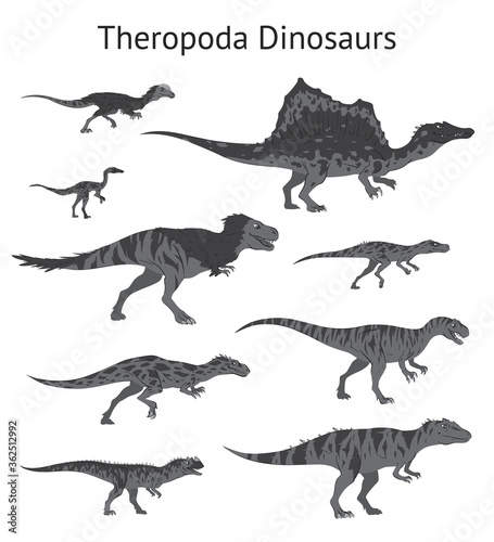 Set of theropoda dinosaurs. Monochrome vector illustration of dinosaurs isolated on white background. Side view. Theropods. Proportional dimensions. Element for your desing, blog, journal.