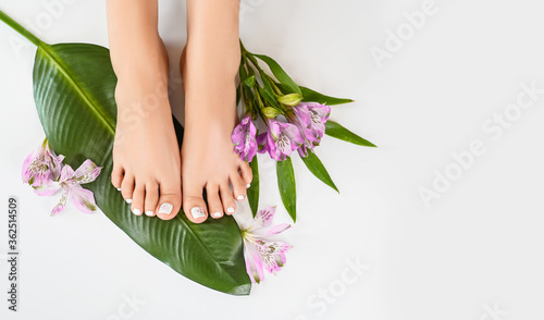 Beautiful perfect female skin legs feet top view with tropical flowers and green palm leaf. Nail polish, care and clean, spa pedicure treatment in white. Concept on background isolated. Copy space
