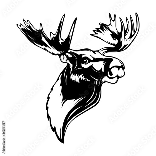 Elk head. Reindeer head isolated vector illustration. Wild animal. Hunting logo.