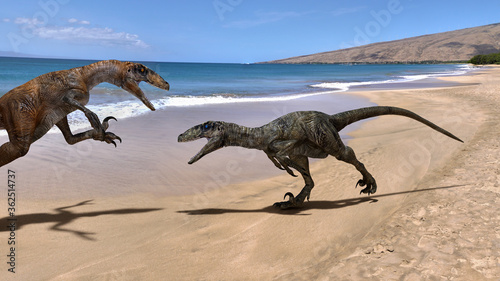 two velociraptors dinosaurs fighting on the beach