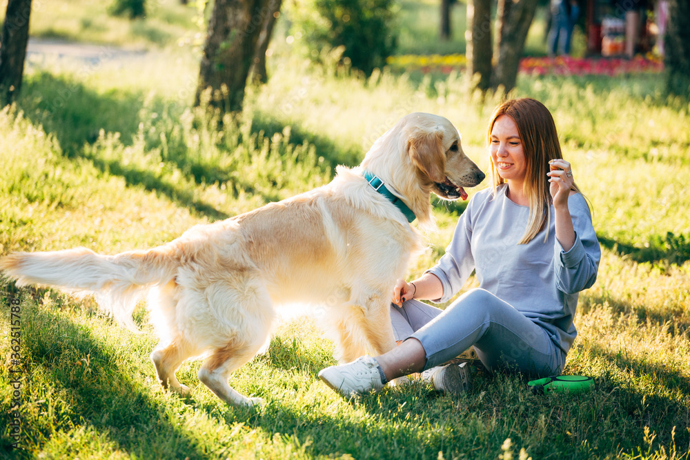 a young woman and a golden retriever dog sit on the grass in the park. The girl holds the dog's paw in her hand
