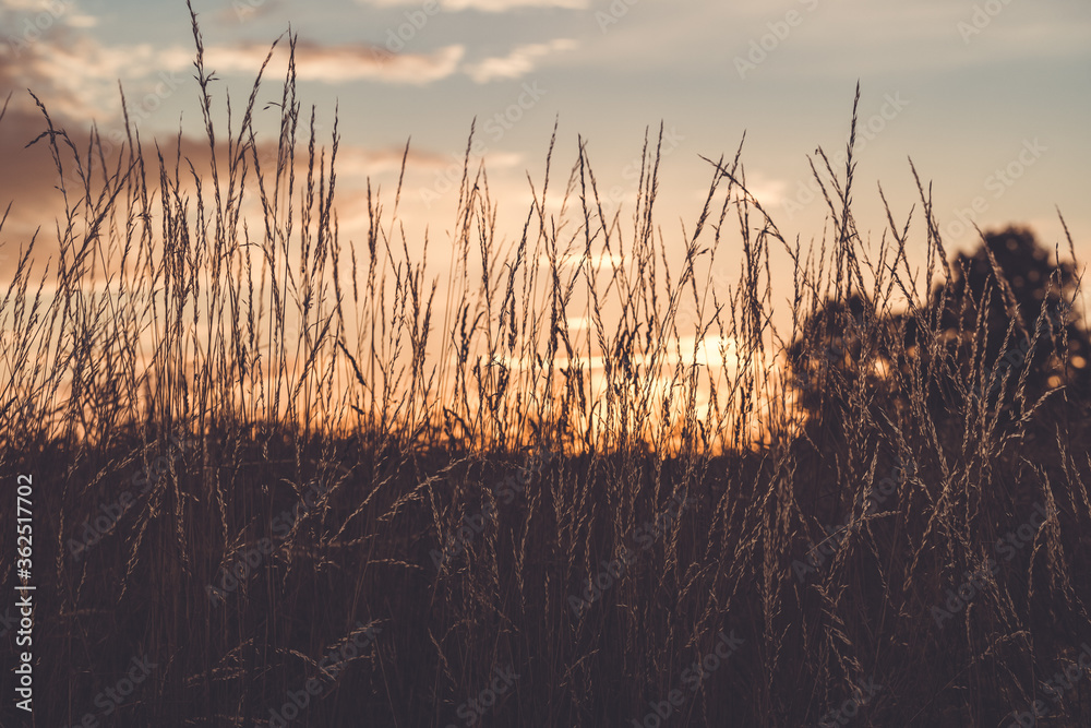 Fototapeta premium Sonnenaufgang