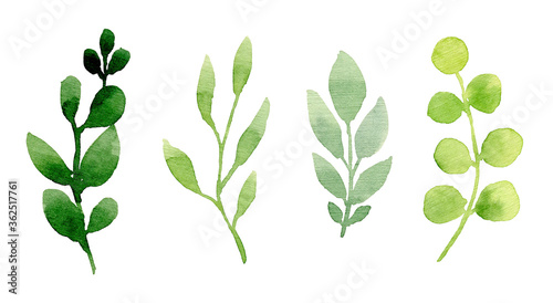 Hand drawn set of 4 green branches and leaves. Watercolor illustrations. Eucalyptus. Floral spring greenery design elements. Perfect for wedding invitations  cards  invitations  banners  posters.