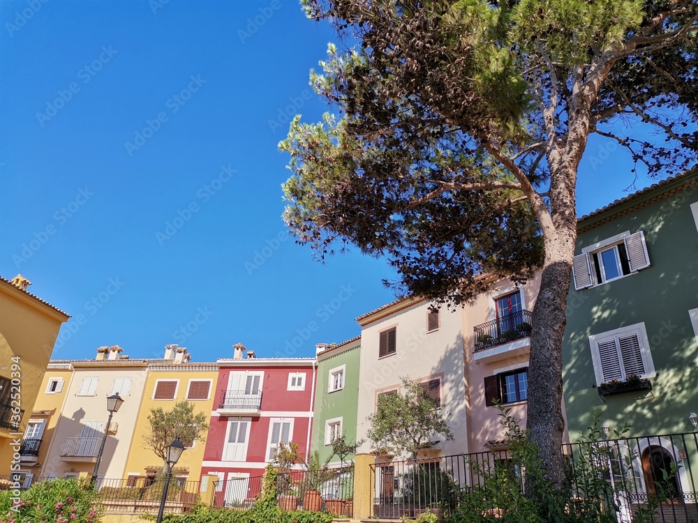 blue sky-colored houses and a pine tree blue sky-colored houses and a pine tree