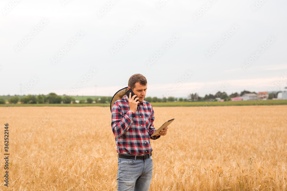 Caucasian farmer checking wheat field progress with tablet using internet. Agriculture and harvesting concept.