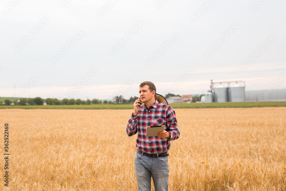 Caucasian farmer checking wheat field progress with tablet using internet. Agriculture and harvesting concept.