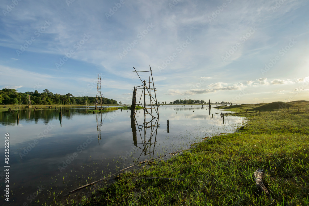 landscape of green field and the lake landscape of green field and the lake