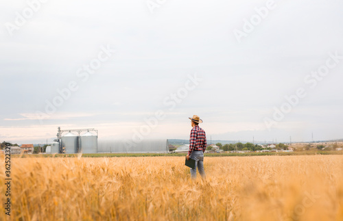 Farmer calculating wheat plantation and looking at the grain factory. Agriculture, industrial and business concept. © Miha Creative