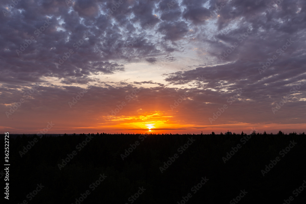 Natural sunset over the forest.  Bright dramatic sky and dark earth. Countryside landscape under a picturesque colorful sky at sunset.