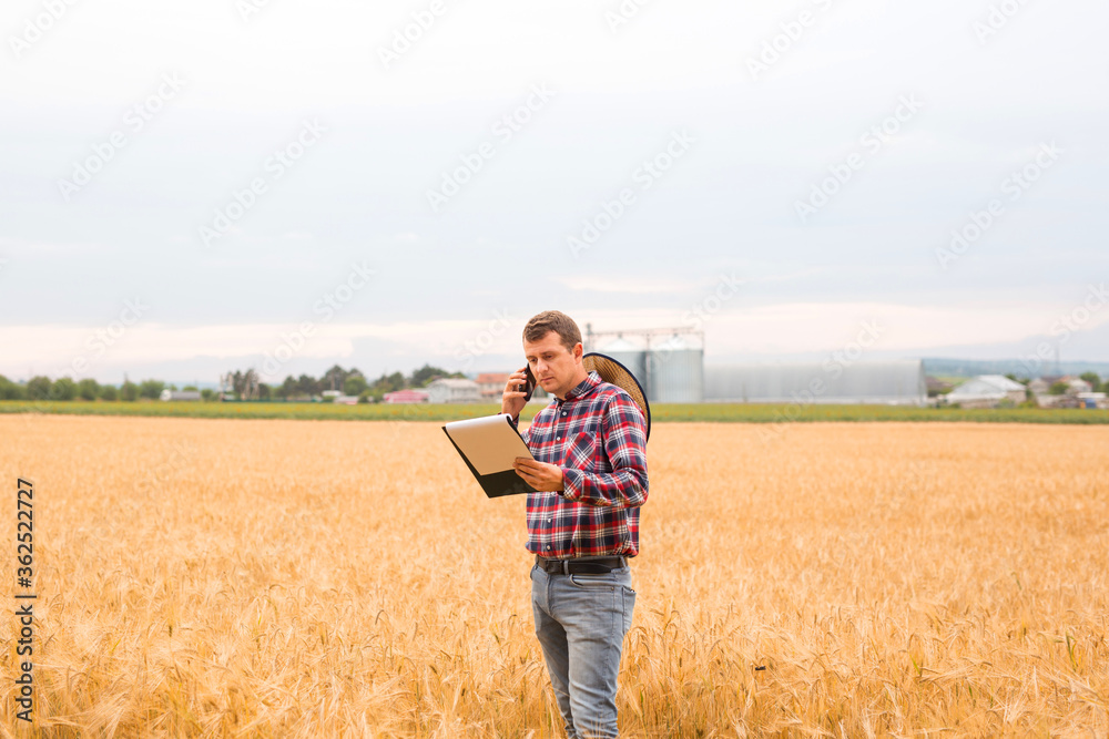 Farmer checking wheat field progress and talking on  phone. Agriculture and harvesting concept. 