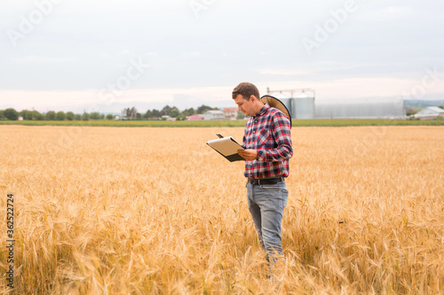 Farmer writing on a document the wheat development plan. Farmer checking wheat field progress. 