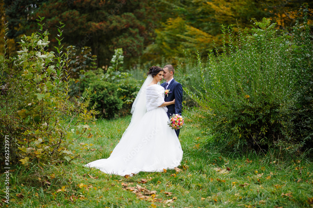 The bride and groom on the background of the autumn park.