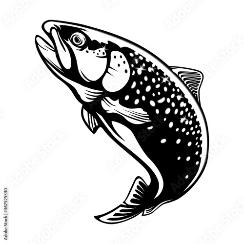 Rainbow trout jumping out water.Salmon isolated on white background. Concept art for horoscope, tattoo or colouring book.