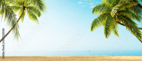 Beach with palm trees, ocean view, summer 3D background illustration concept photo