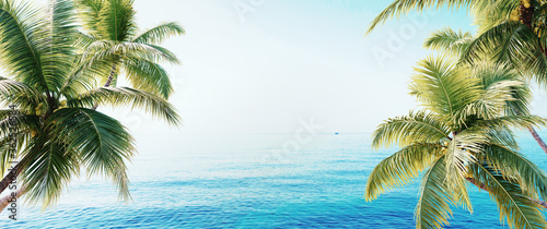 Beach with palm trees, ocean view, summer 3D background illustration concept photo