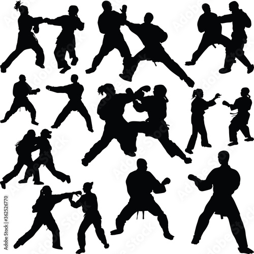 Karate silhouette vector