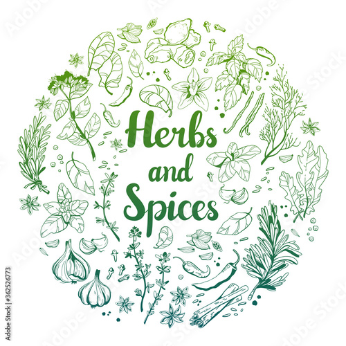 Herbs and spices composition in a circle with lettering. Linear hand-drawing objects. Gradient from light green to turquoise color. Vector logo with spices isolated on white background.