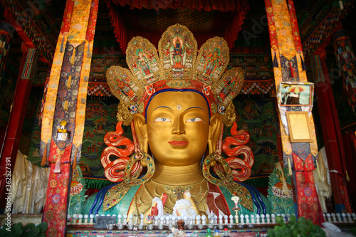 Canvas Print Giant statue of Maitreya Buddha or Future Buddha inside the Thiksey Monastery in