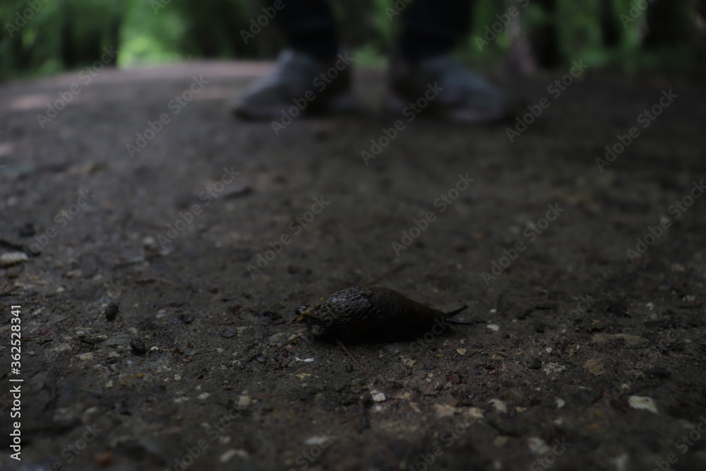 Obraz premium little friend