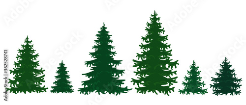 Collection of spruce trees isolated on a white background. Vector illustration of a pine tree in cartoon style.