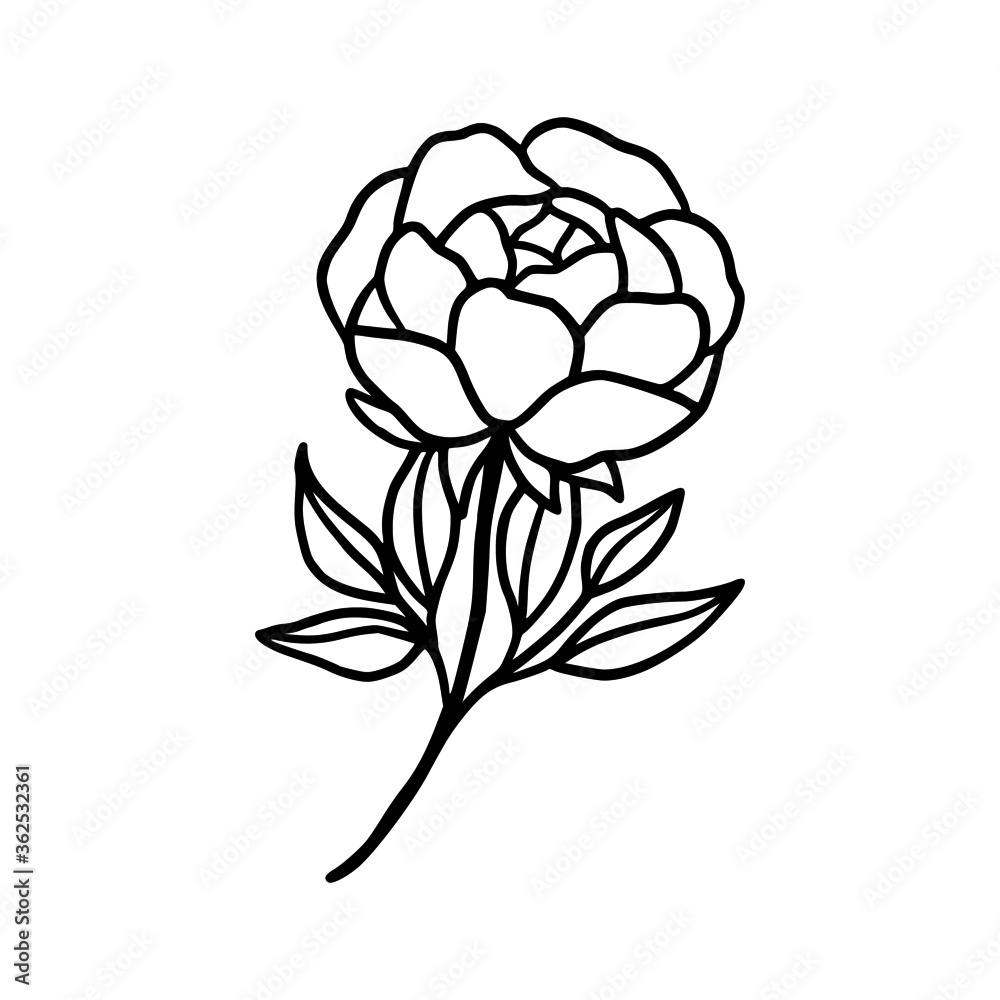 Hand drawn rose, peony flower and botanical leaf branch illustration. Black line art vector feminine logo. Symbol and icon for wedding, business card, cosmetics, jewel, brand, and beauty products Hand drawn rose, peony flower and botanical leaf branch illustration. Black line art vector feminine logo. Symbol and icon for wedding, business card, cosmetics, jewel, brand, and beauty products