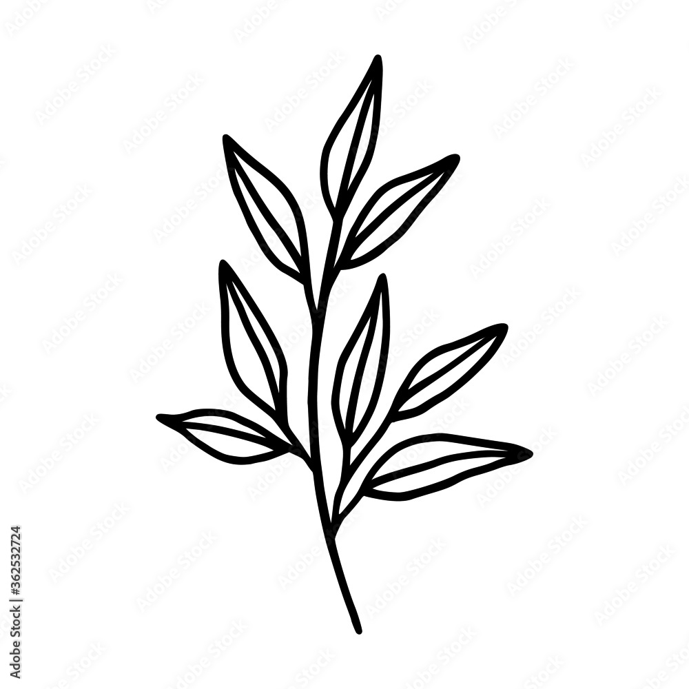 Hand drawn monochrome plant, leaf logo element. Symbol, greeting cards, botanical icon, or banner. Summer, spring, and autumn botany element