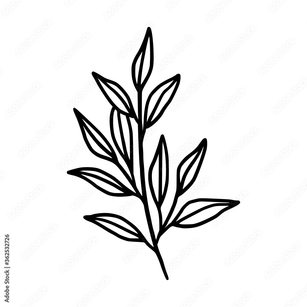 Hand drawn monochrome plant, leaf logo element. Symbol, greeting cards, botanical icon, or banner. Summer, spring, and autumn botany element