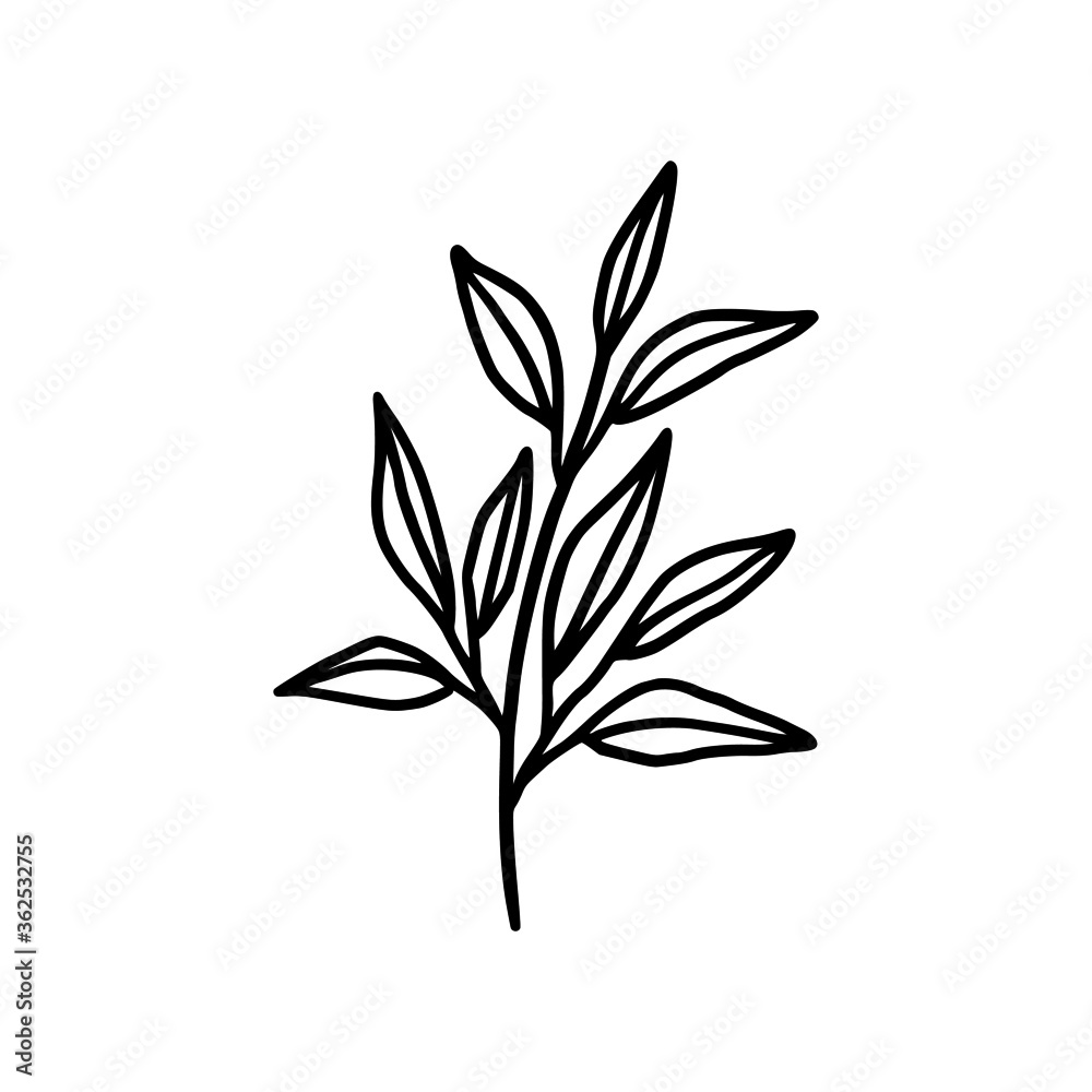 Hand drawn monochrome plant, leaf logo element. Symbol, greeting cards, botanical icon, or banner. Summer, spring, and autumn botany element Hand drawn monochrome plant, leaf logo element. Symbol, greeting cards, botanical icon, or banner. Summer, spring, and autumn botany element