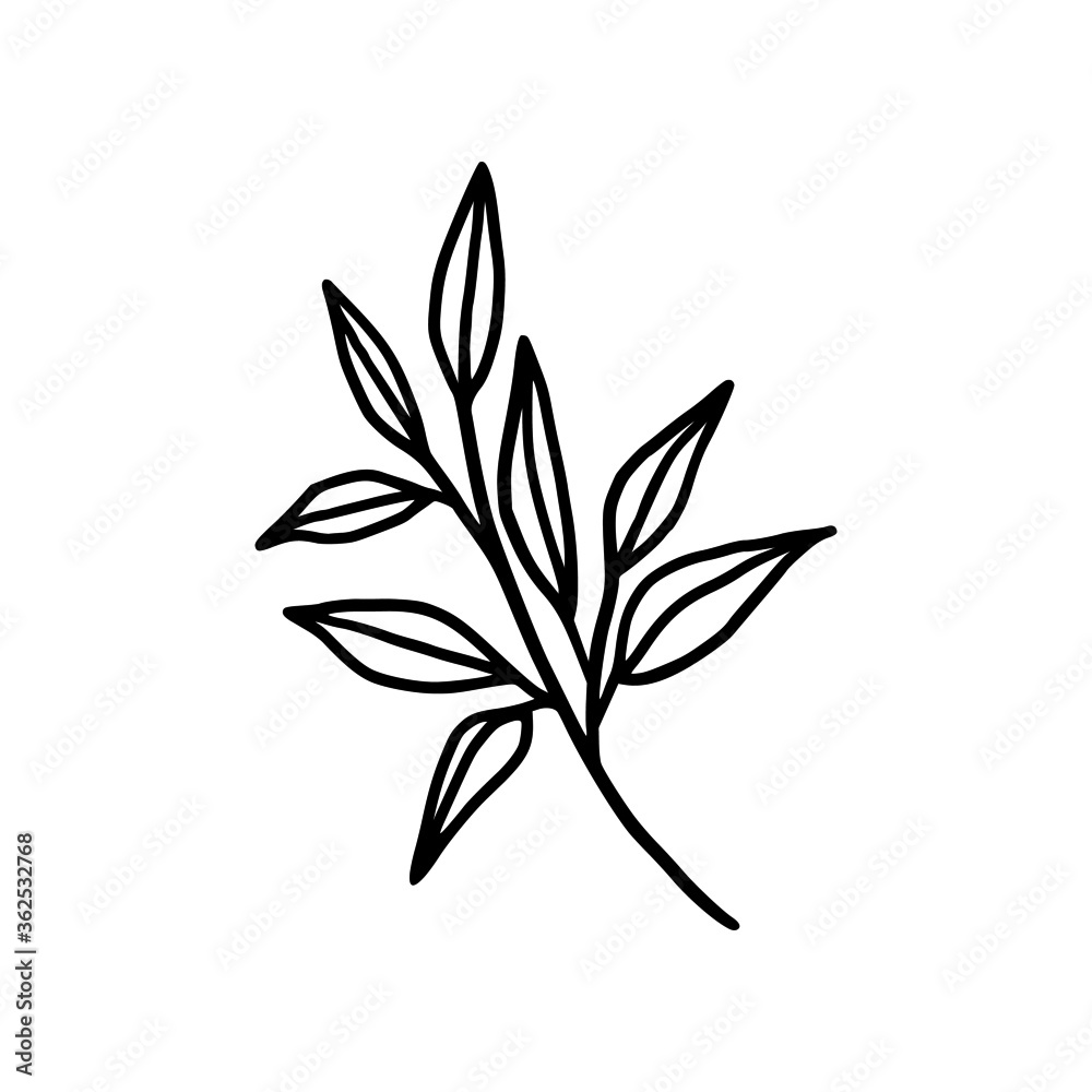 Hand drawn monochrome plant, leaf logo element. Symbol, greeting cards, botanical icon, or banner. Summer, spring, and autumn botany element Hand drawn monochrome plant, leaf logo element. Symbol, greeting cards, botanical icon, or banner. Summer, spring, and autumn botany element